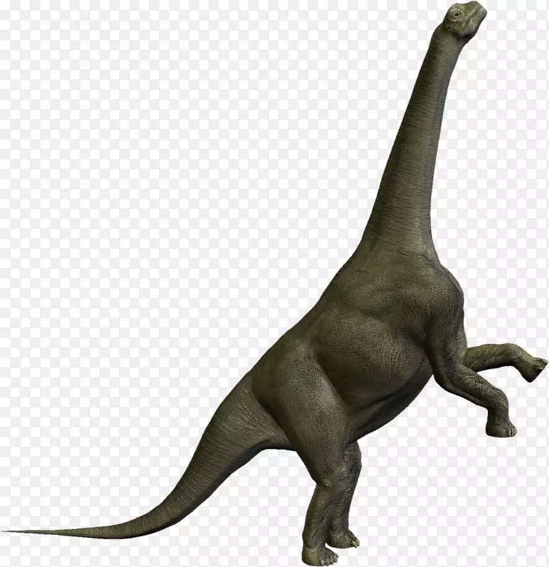 金马龙暴龙史前恐龙食草恐龙-恐龙