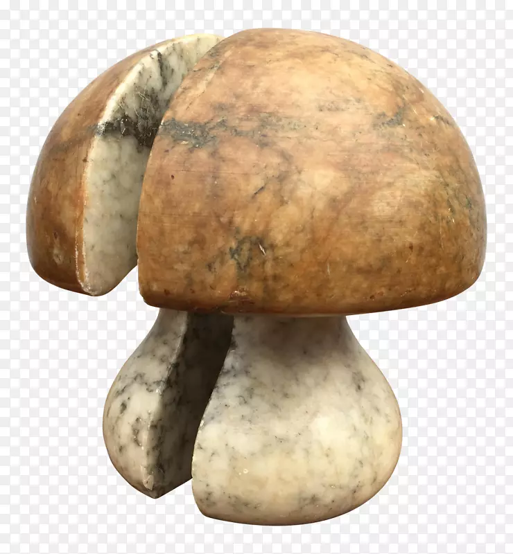 普通蘑菇