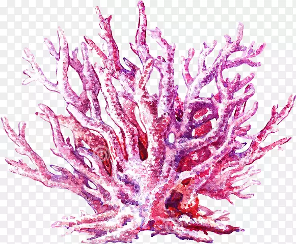珊瑚礁水母水彩画