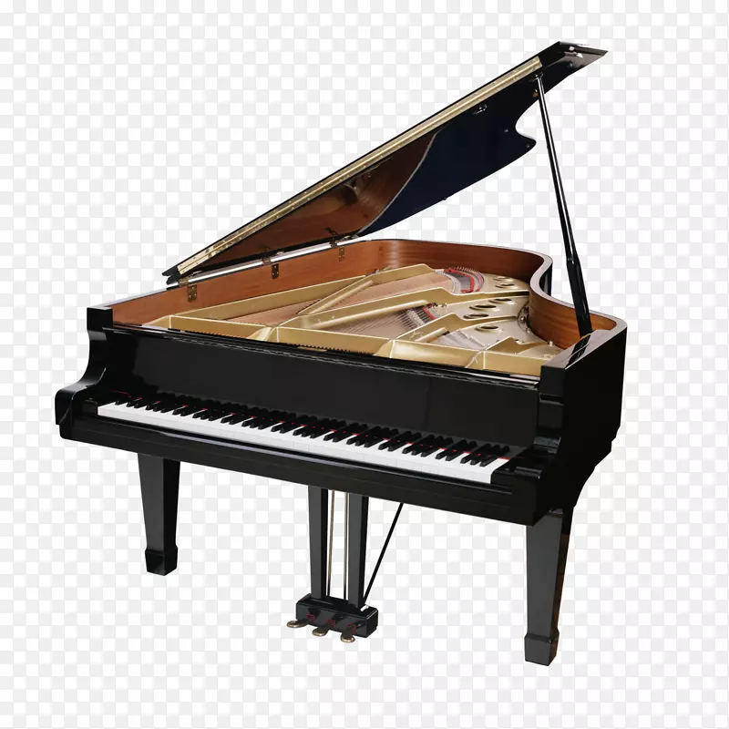 钢琴调音肖邦与约宾：e小调前奏曲，OP。28，nol 4和Insenatez乐器图像-钢琴