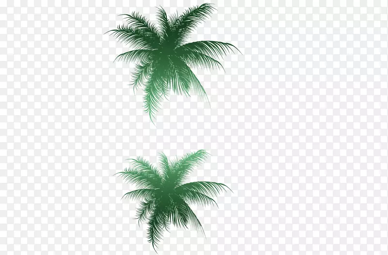棕榈树图像图形png图片剪贴画树