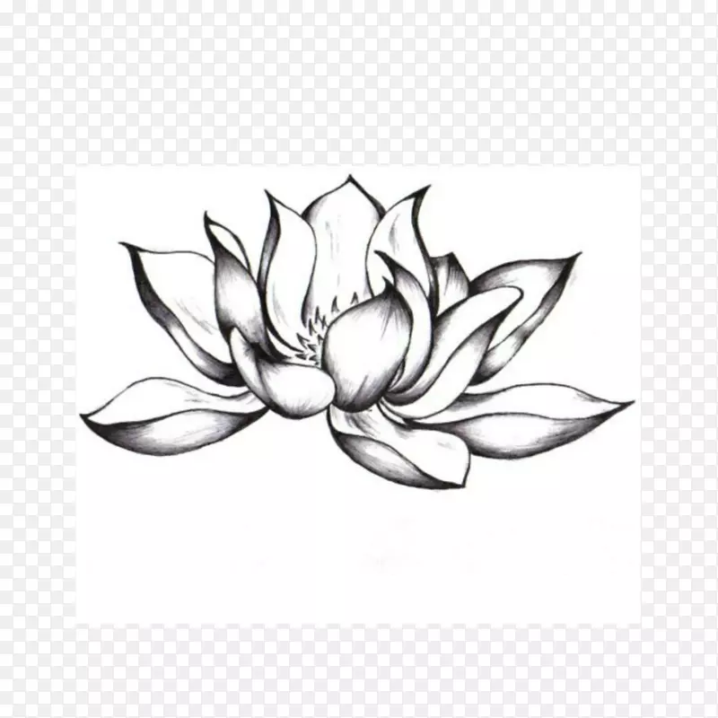 纹身素描神圣的莲花形象花花