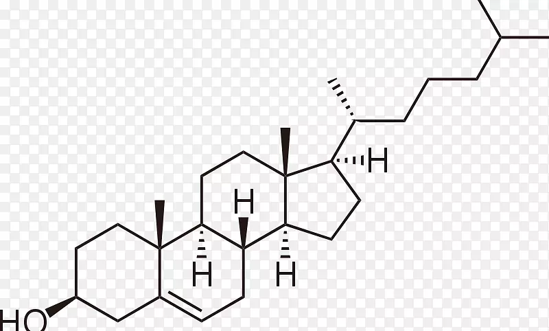 两亲分子胆固醇脂双层-胆碱雌激素
