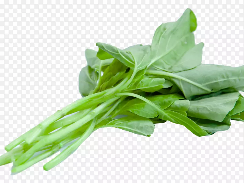 素食烹饪菠菜沙拉png图片透明蔬菜