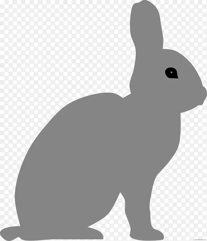 国内兔剪贴画图形-兔子
