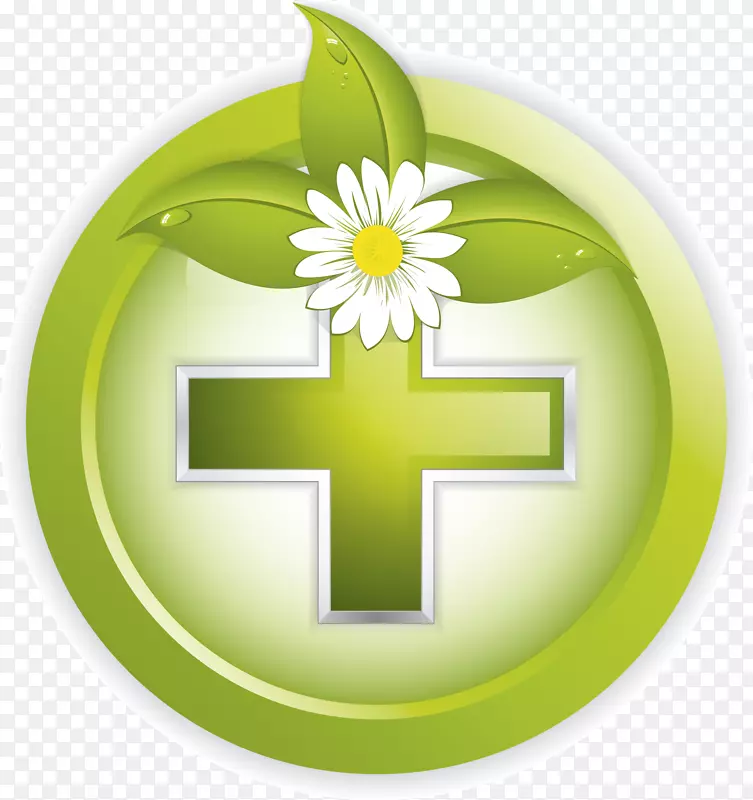 绿色产品设计花卉符号-españ；a