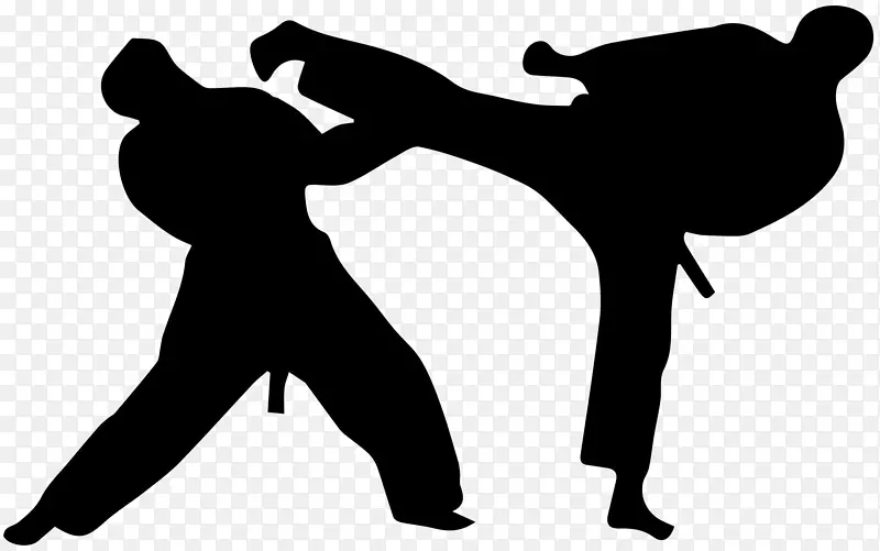 世界跆拳道搏击艺术武术-空手道