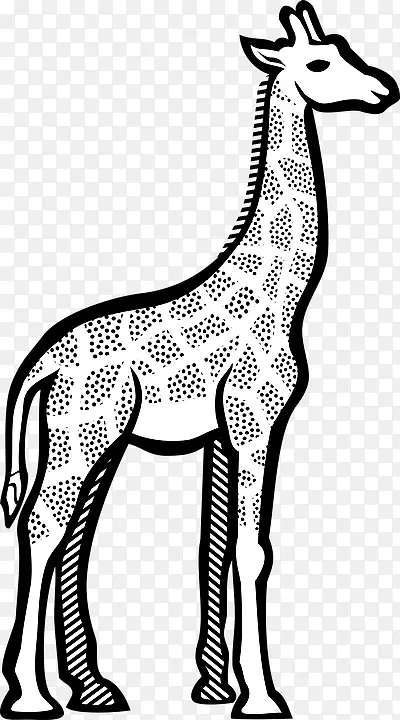 长颈鹿剪贴画线艺术图形绘制长颈鹿