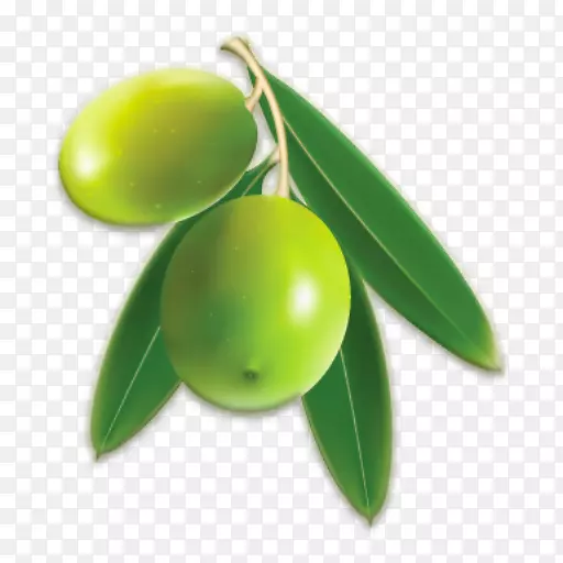 橄榄油png图片剪辑艺术橄榄叶-橄榄