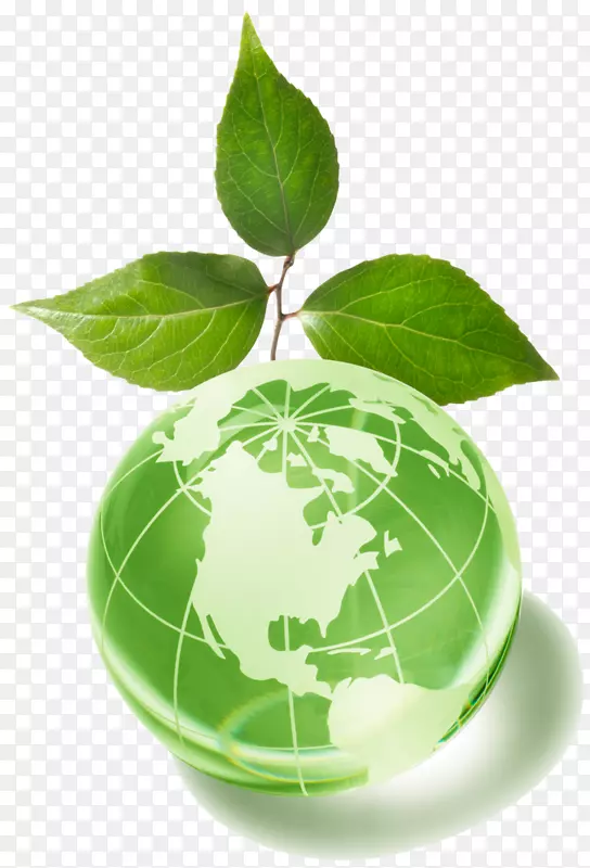 产品标志生物塑料公司包装和标签.生态地球