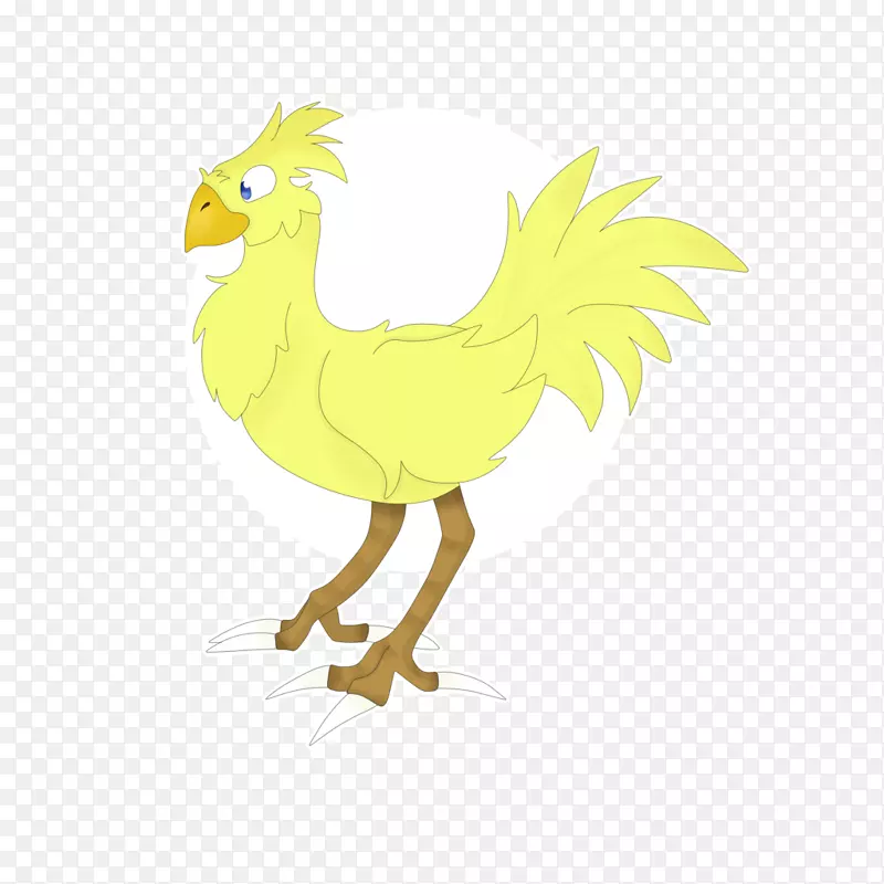 鸡夹艺术插画喙鸡