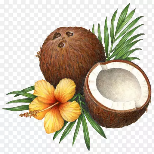 椰子水椰奶椰子油健康椰子