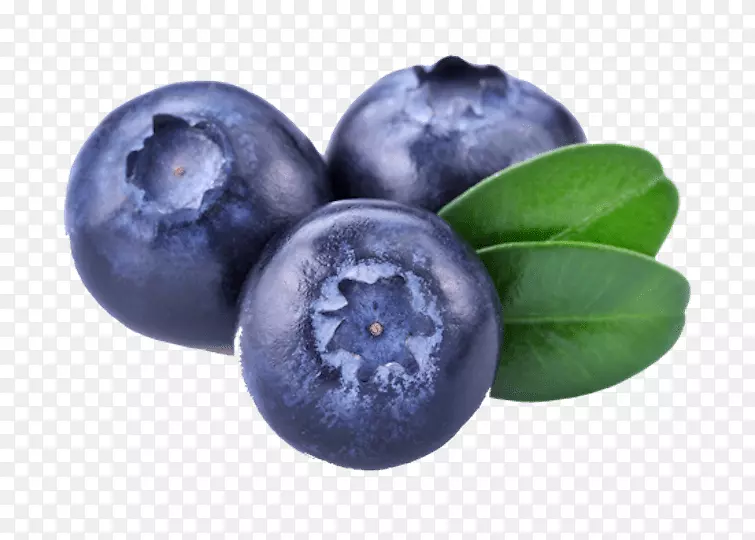 png图片蓝莓剪贴画图片水果蓝莓