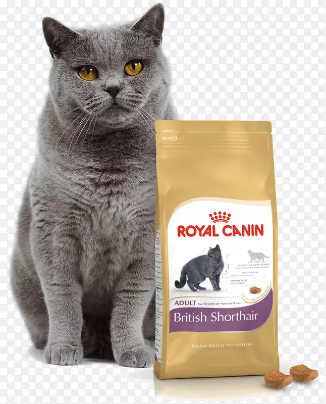 英国速记皇家犬敏感消化干猫食猫巴西短猫