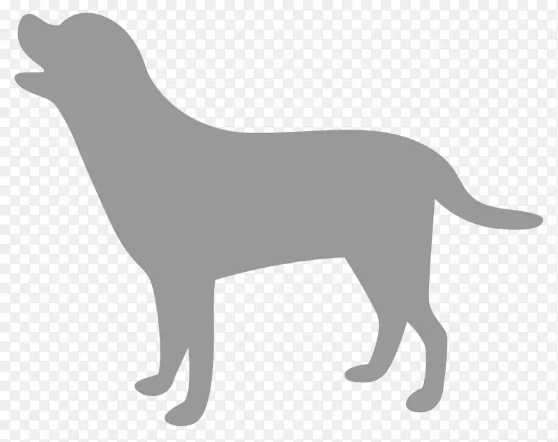 拉布拉多猎犬繁殖小狗运动团体-小狗