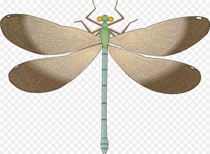 蜻蜓昆虫剪贴画png图片图形.蜻蜓