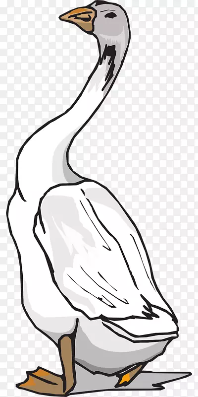 鹅灰鹅鸭鸟夹艺术-鹅