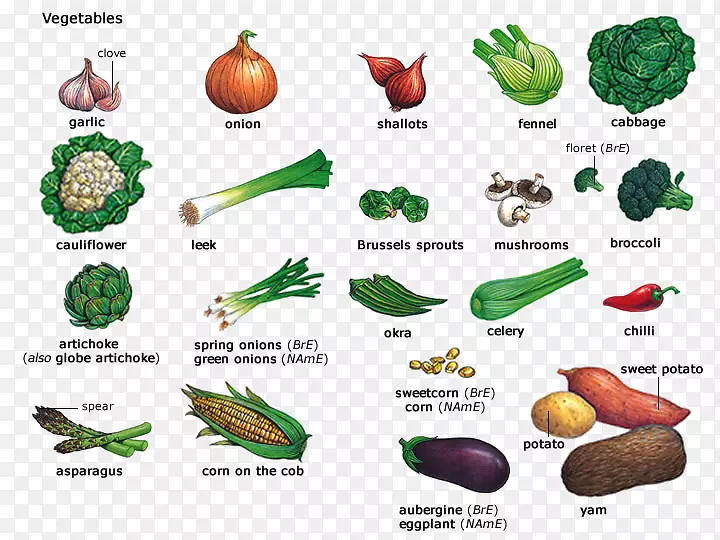 蔬菜洋葱词汇保健食品蔬菜