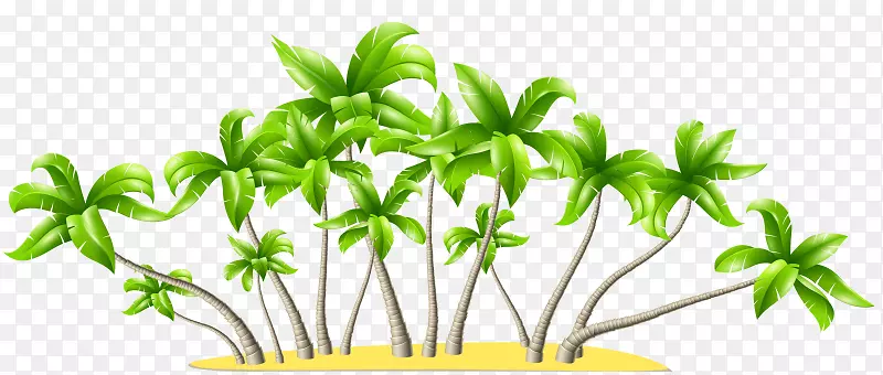 剪贴画png图片棕榈树开放部分树