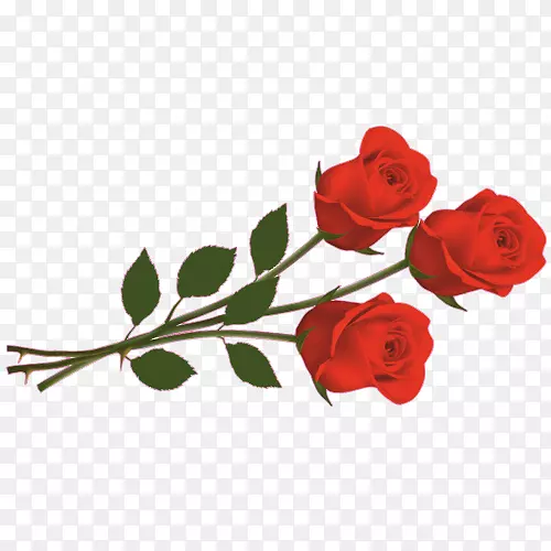 剪贴画玫瑰图像png图片红玫瑰