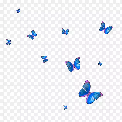 帝王蝶，昆虫，毛茸茸的蝴蝶，燕尾蝴蝶-蝴蝶