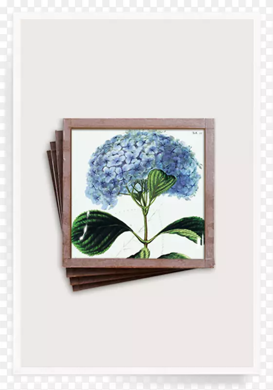 本花园‘蓝色绣球花’饰品托盘-蓝色绘画法国绣球花画框-绣球花