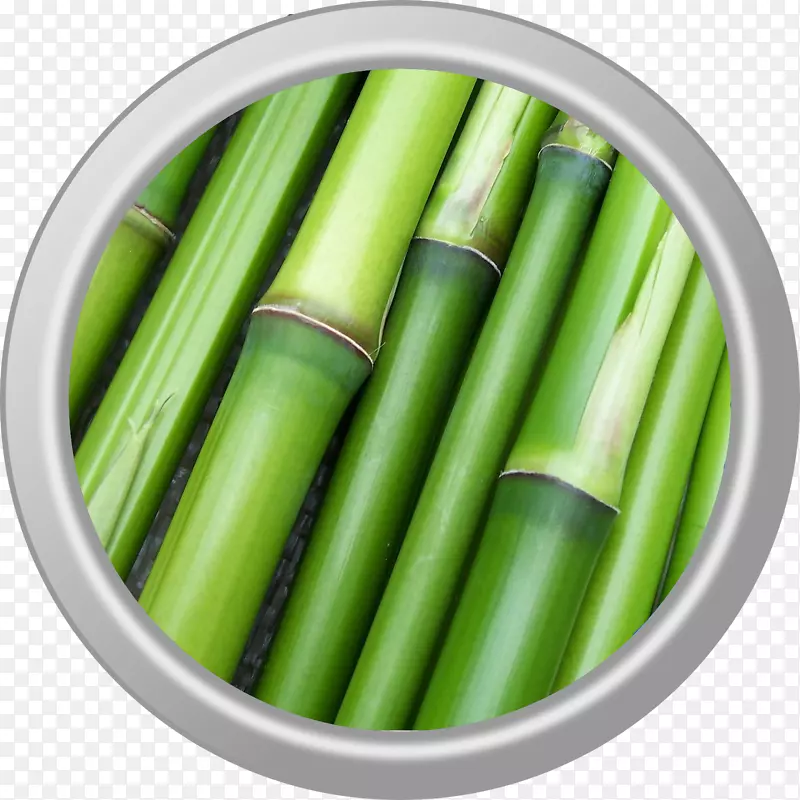 竹材图像植物存量.xchng照片-竹子