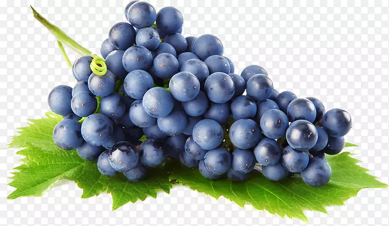 葡萄酒葡萄便携网络图片阿尔巴里诺食品-葡萄酒
