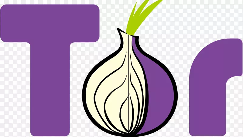 Tor浏览器web浏览器匿名硒洋葱