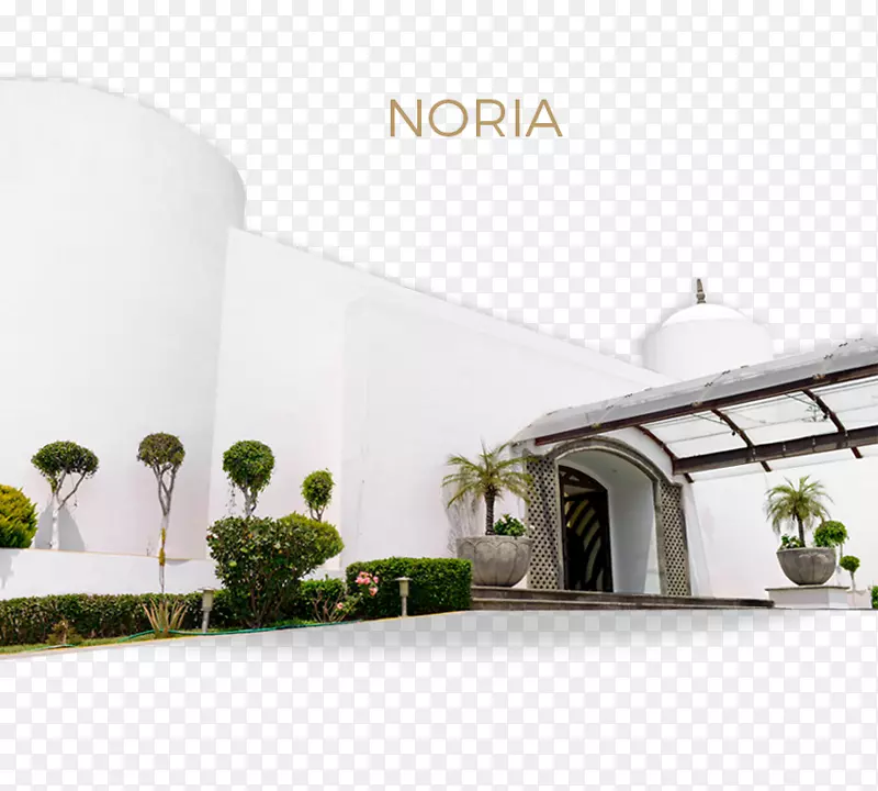 产品设计特性-Noria
