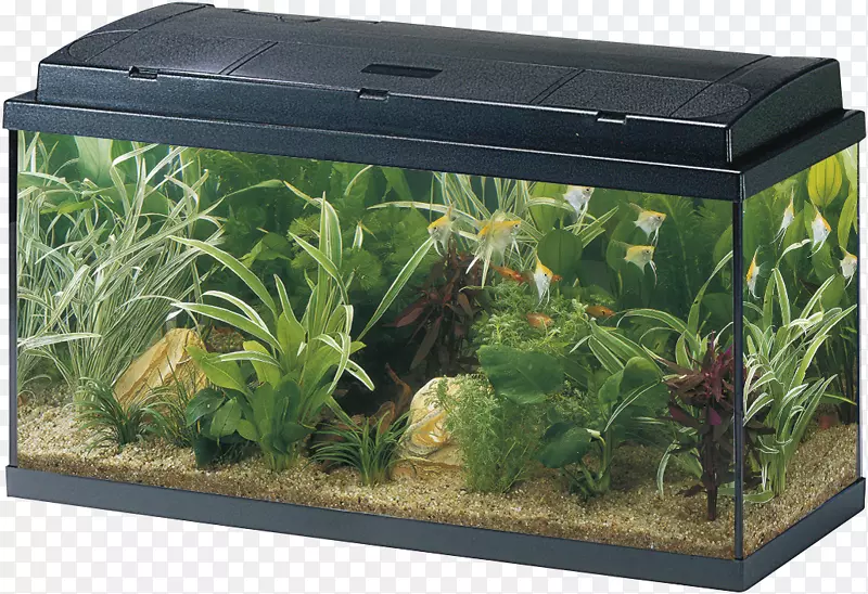 埃海姆水族馆水过滤器容积-Akvarium