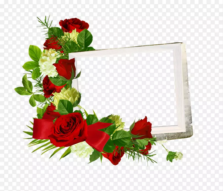 花园玫瑰图片框png图片图像.玫瑰