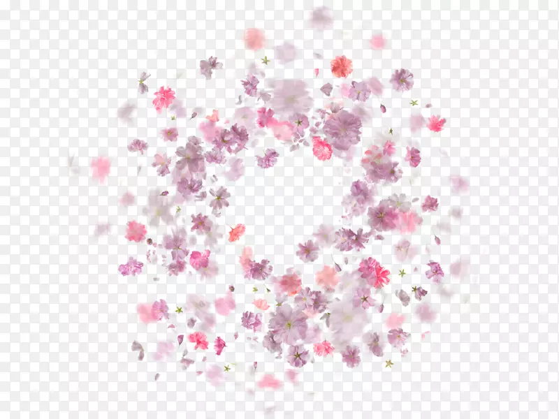 Instagram花园玫瑰كنداعيا阿尔及利亚香水-PNG图文效果
