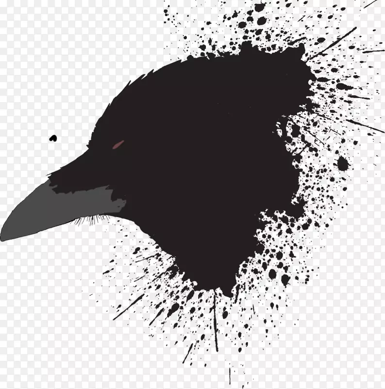 黑白喙图形视频图像.乌鸦0