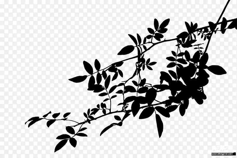 植物琐碎图像黑白剪影中文-弗莱皮克