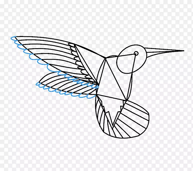 哥斯达黎加蜂鸟剪贴画图片-鸟