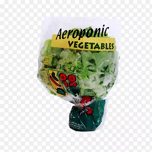 产品叶蔬菜塑料草本植物-英国橡树叶