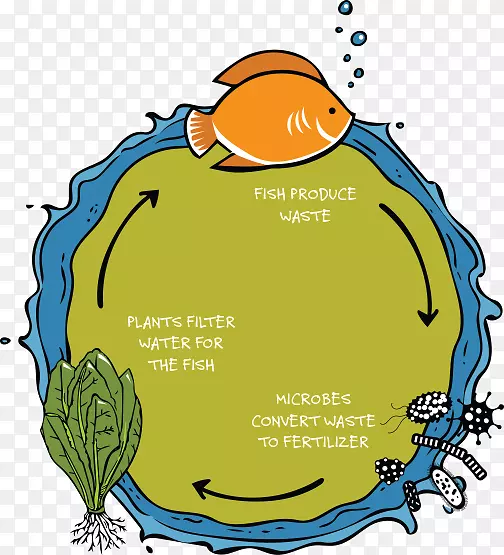 水产学剪贴画食品水培图.信息图路