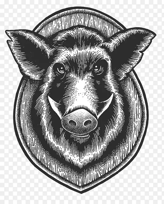 猪的鼻子动物群-猪