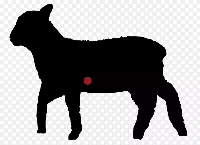 法国斗牛犬波士顿小猎犬，羊肉和羊肉