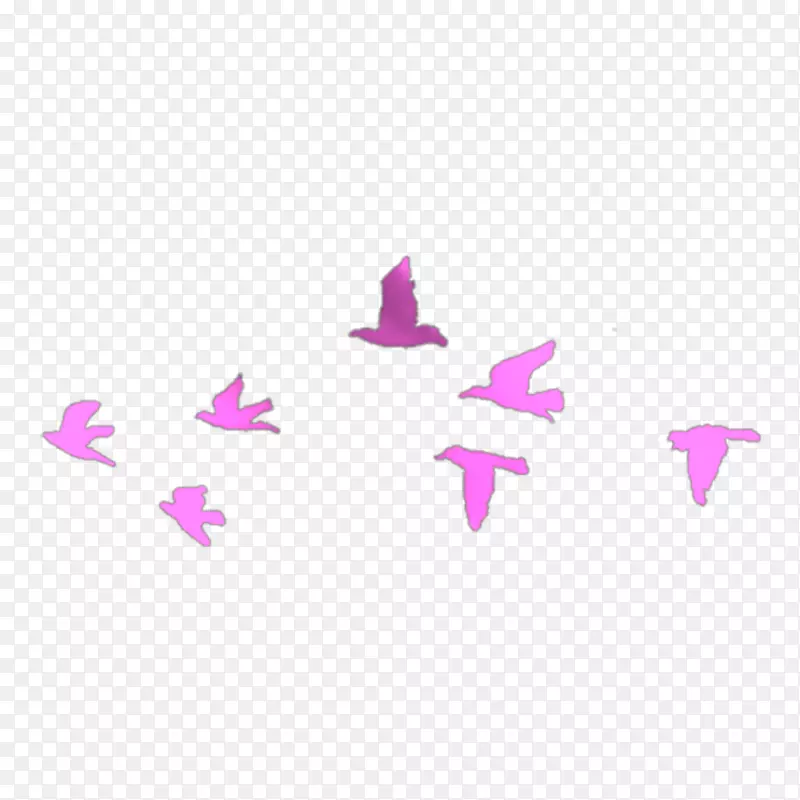 鸟类插图燕群abc纹身-鸟