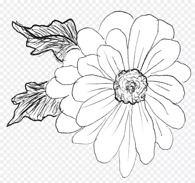 花卉设计/m/02csf绘图对称性-水彩波霍