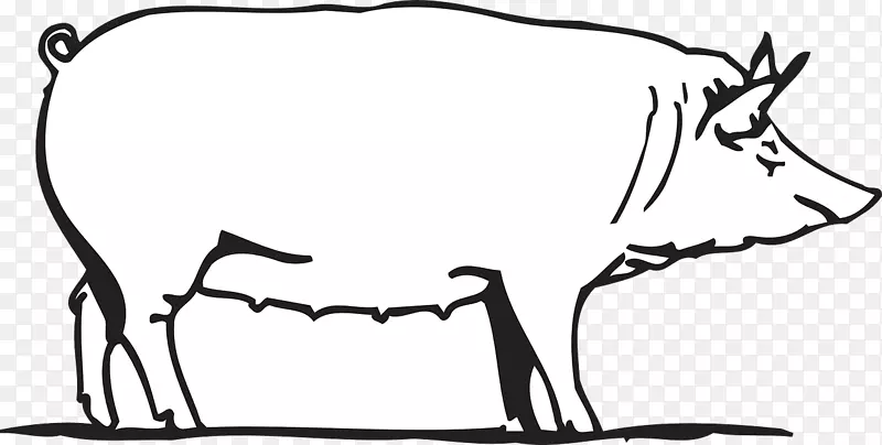 剪贴画大白猪画图像图形.农场卡通