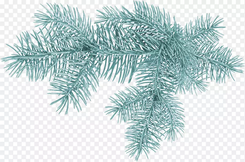 云杉圣诞树剪贴画松树-圣诞树