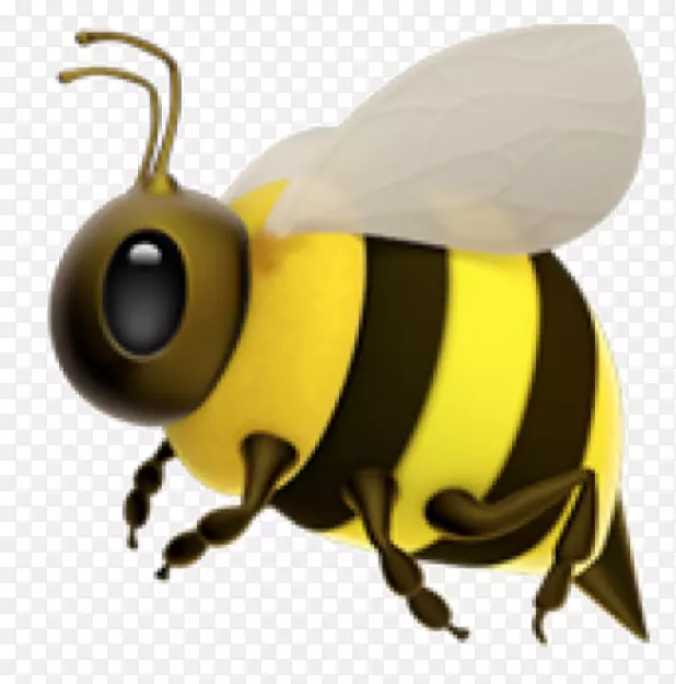 西方蜜蜂，大黄蜂，黄蜂