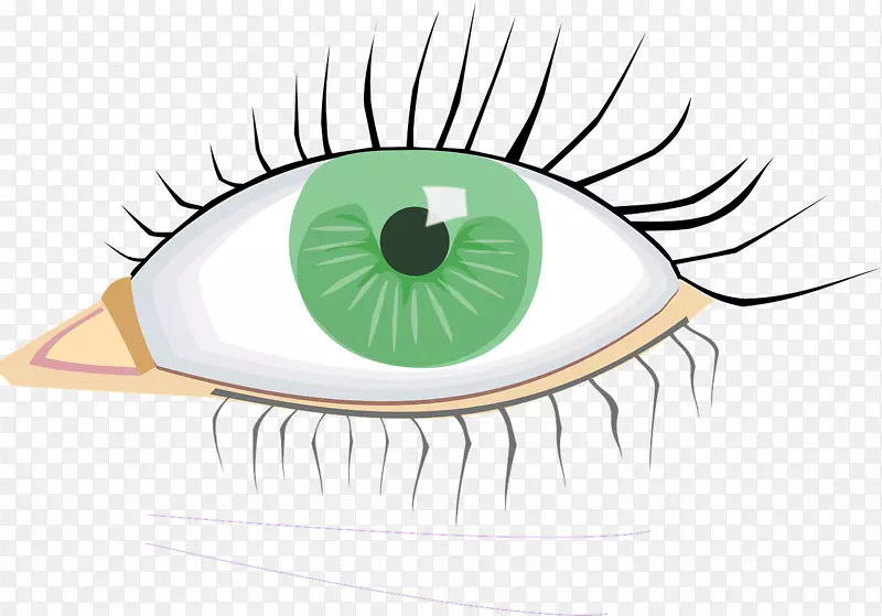 艺术眼损伤图像虹膜-眼睛