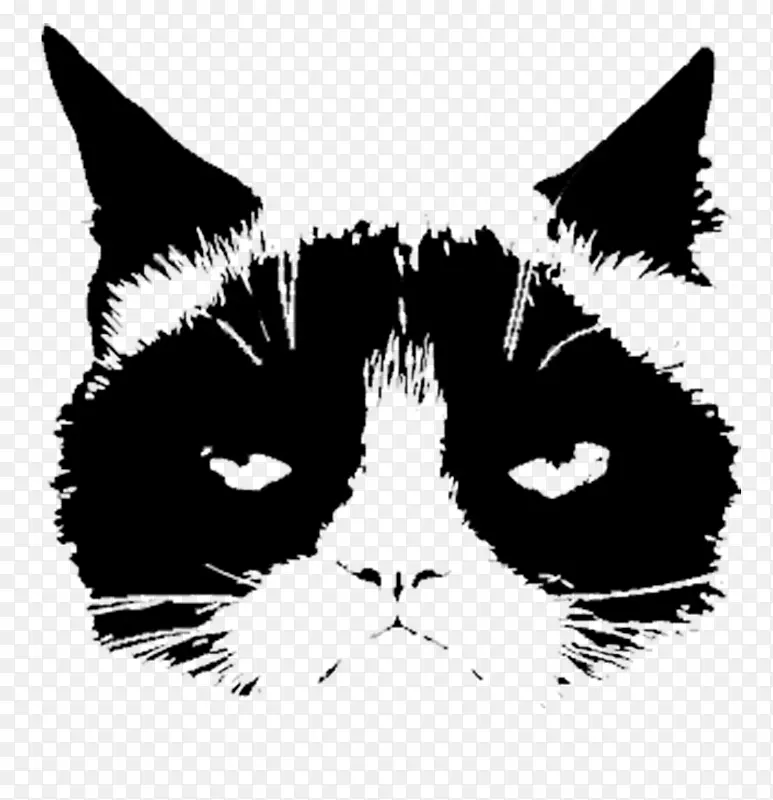 胡须，家用短发猫，黑猫剪贴画