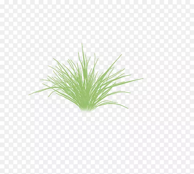 绿草水族馆植物茎-草地板