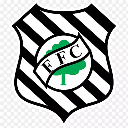 Figueirense FC Campeonato Brasileiro série a Estádio Orlando Scalpelli足球Campeonato Brasileiro série b-足球