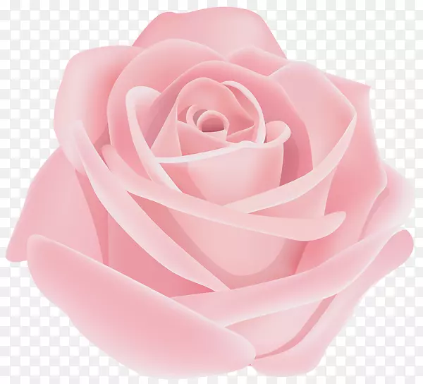 花园玫瑰png图片剪辑艺术图片粉红色犀牛